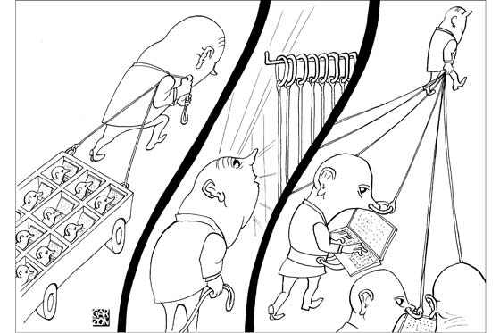 Cartones de Garzón