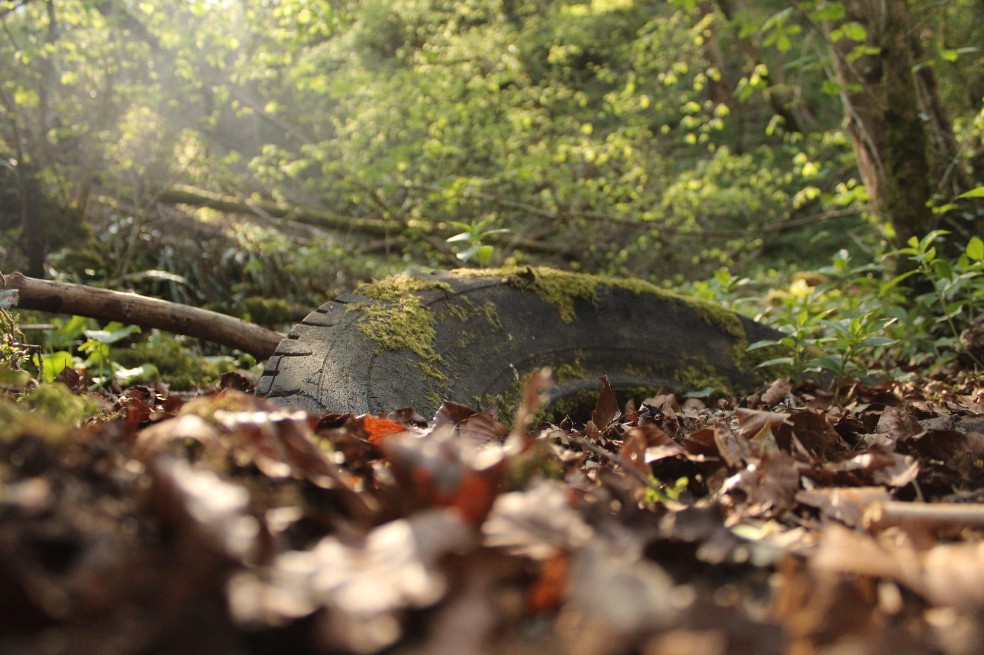 Roan Jones fue el ganador en la categoría Sumergido por su foto de un neumático recuperado por la naturaleza en Vallis Forest, Somerset. "Muestra la conexión entre las personas y el mundo natural", dice Jones.