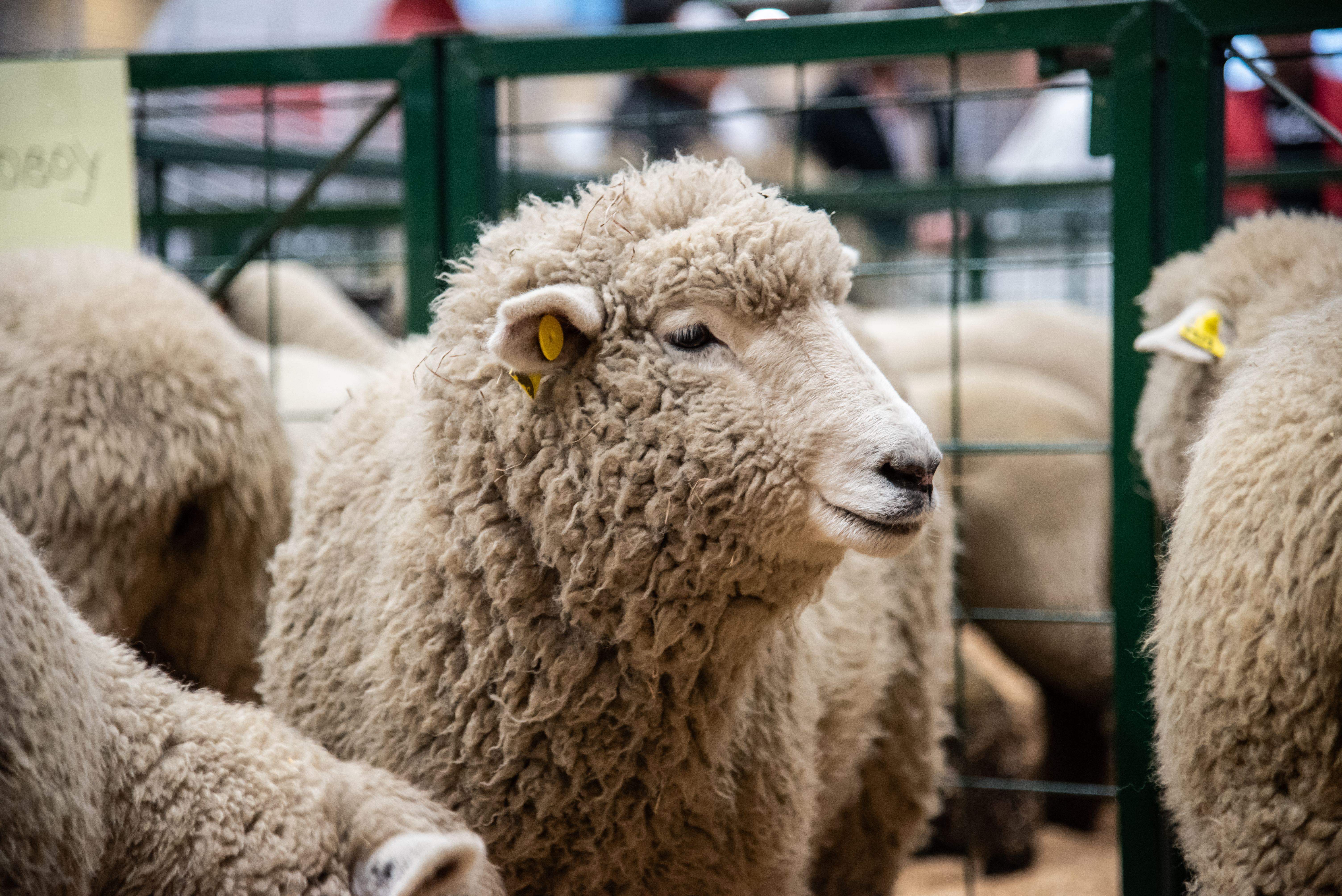 Créditos para impulsar el desarrollo del agro y no endeudar al campesinado