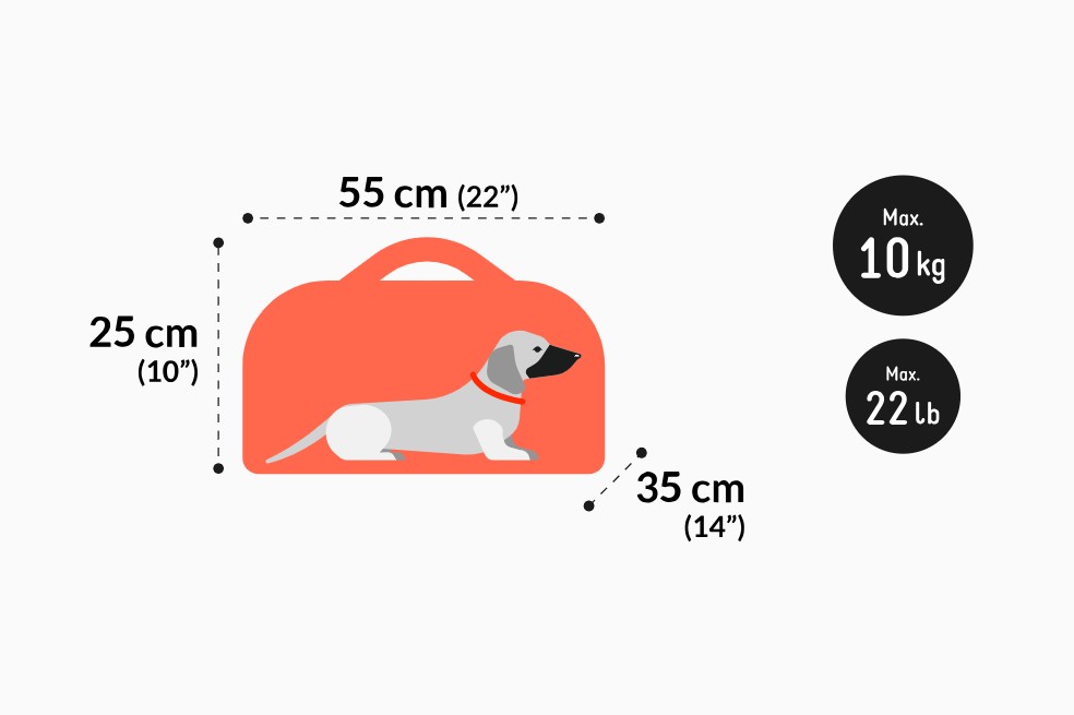 Mascotas de hasta 10 kg (en cabina). Son perros o gatos que tienen un cargo adicional para ser transportados en cabina.