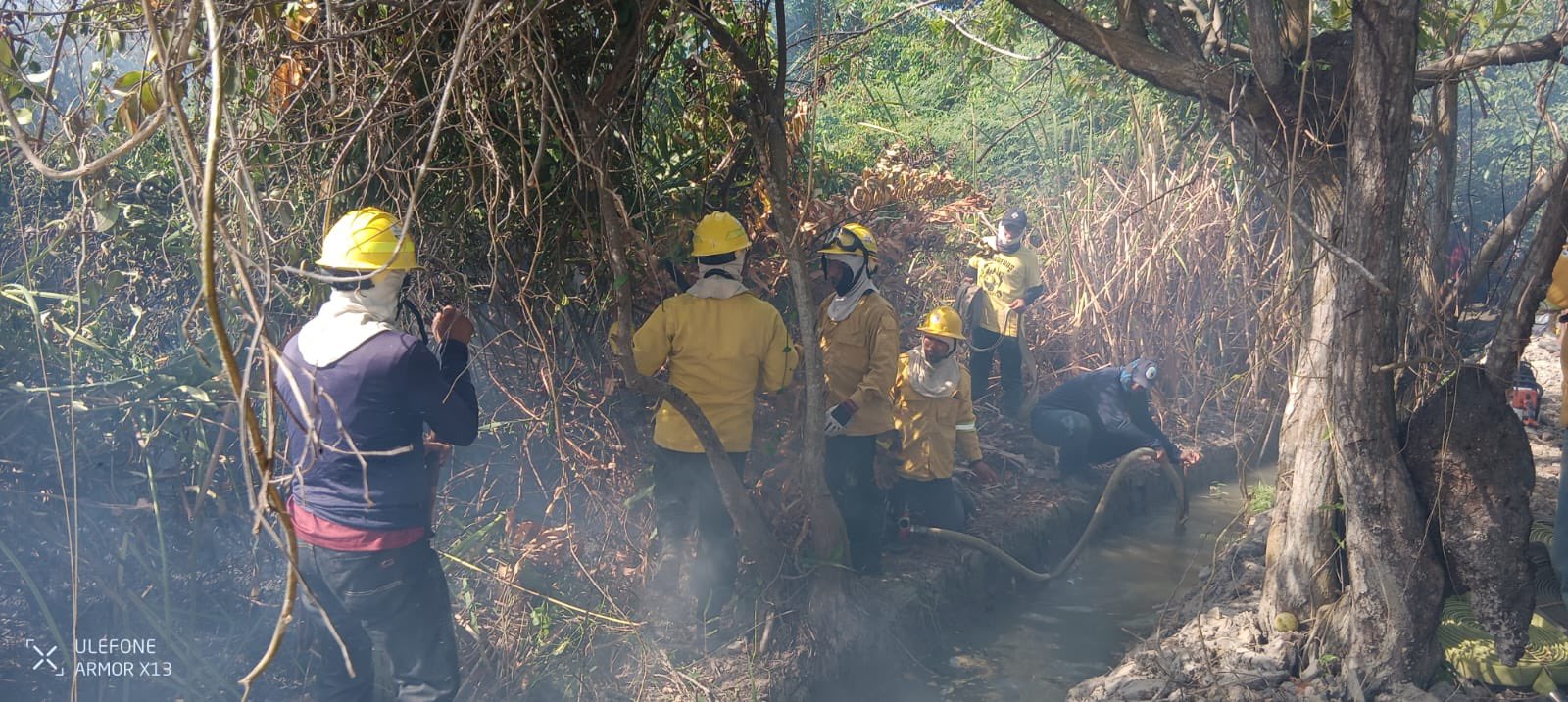 Incendio en la Vía Parque Isla de Salamanca ya afecta cerca de 30 hectáreas, alerta Parques