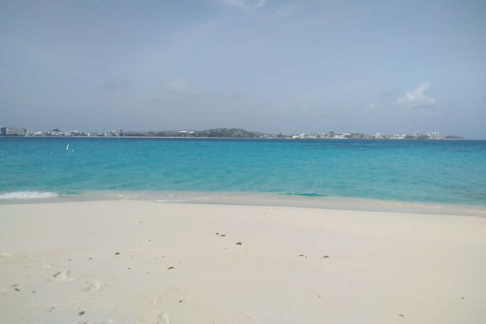 Buenas noticias: rescatan 117 huevos de tortugas marinas en San Andrés
