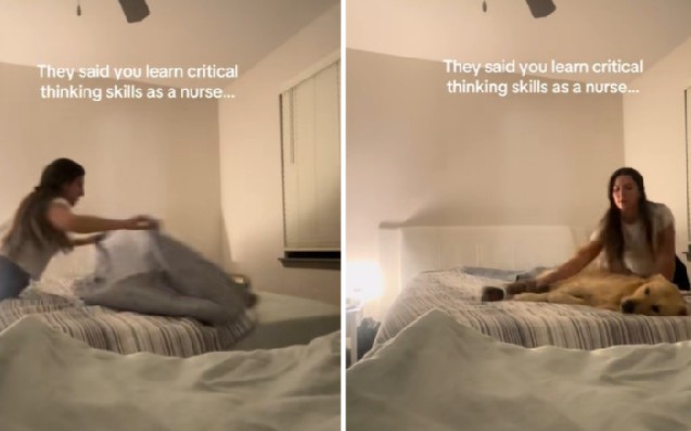 Enfermera usó su experiencia para tender la cama sin mover a su perro (video)