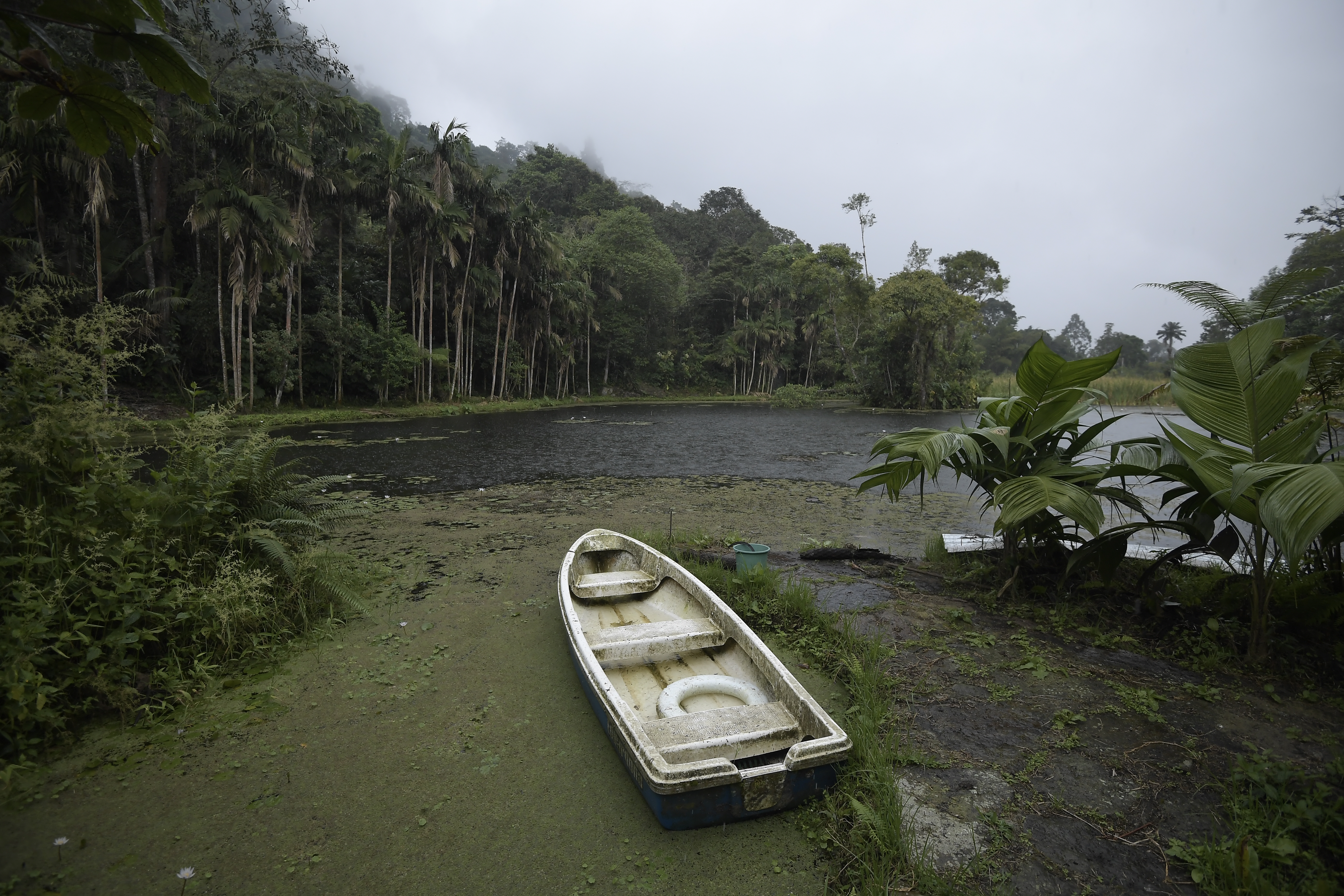 Día Mundial de los Humedales: las metas para su protección efectiva en 2025
