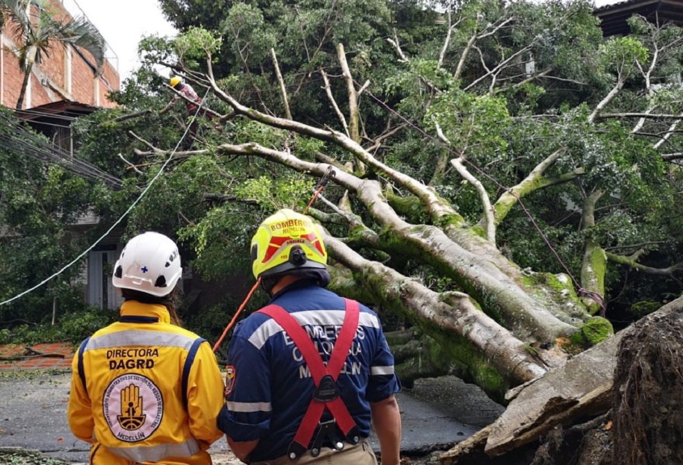 Inundaciones, árboles caídos y crecientes: los estragos que generaron las lluvias en Medellín