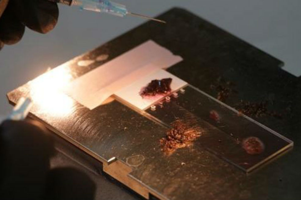 Una librería química con más de 600 moléculas ‘prometedoras’ contra la malaria