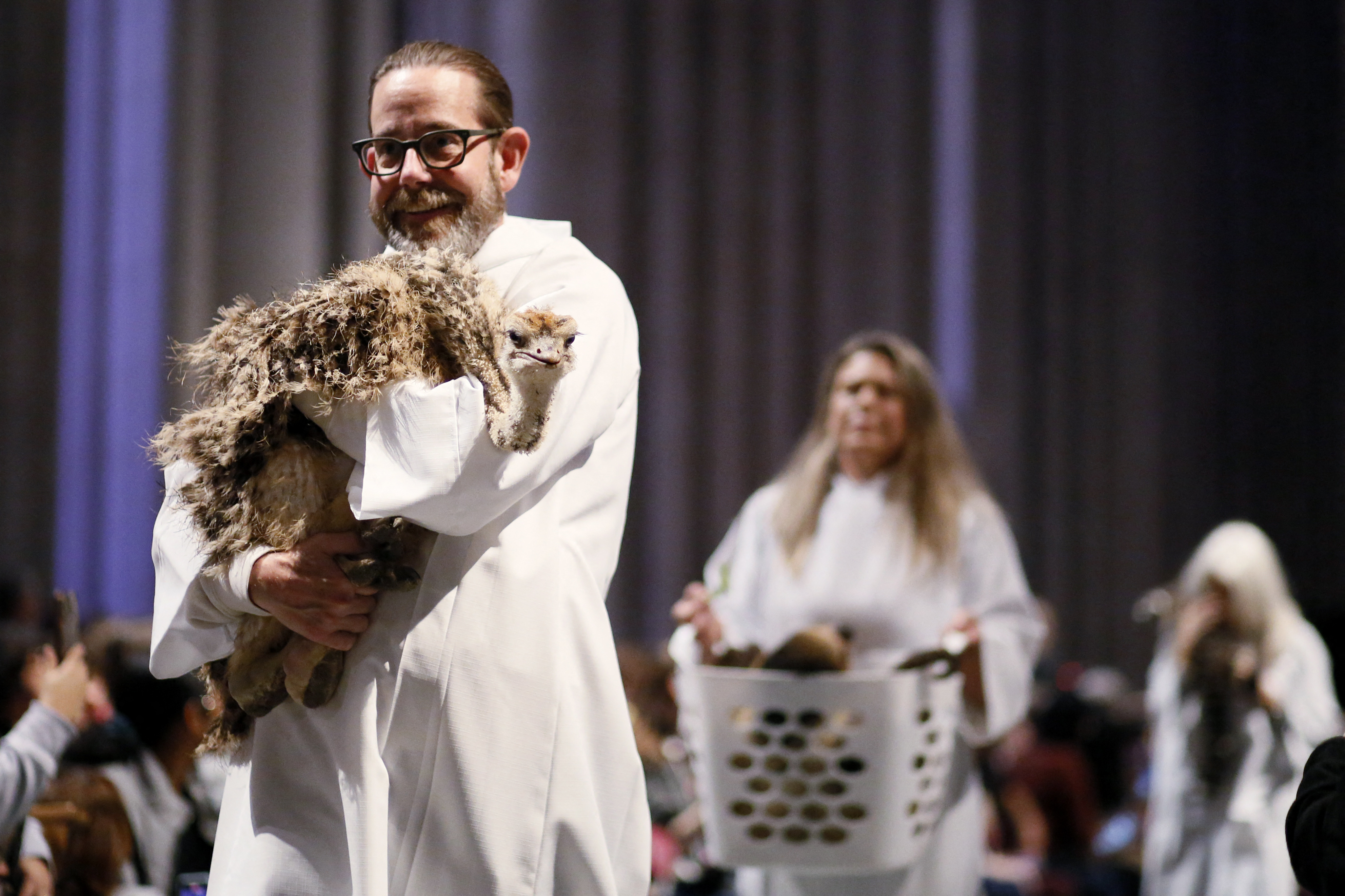 Mascota camino a recibir la bendición en Nueva York.