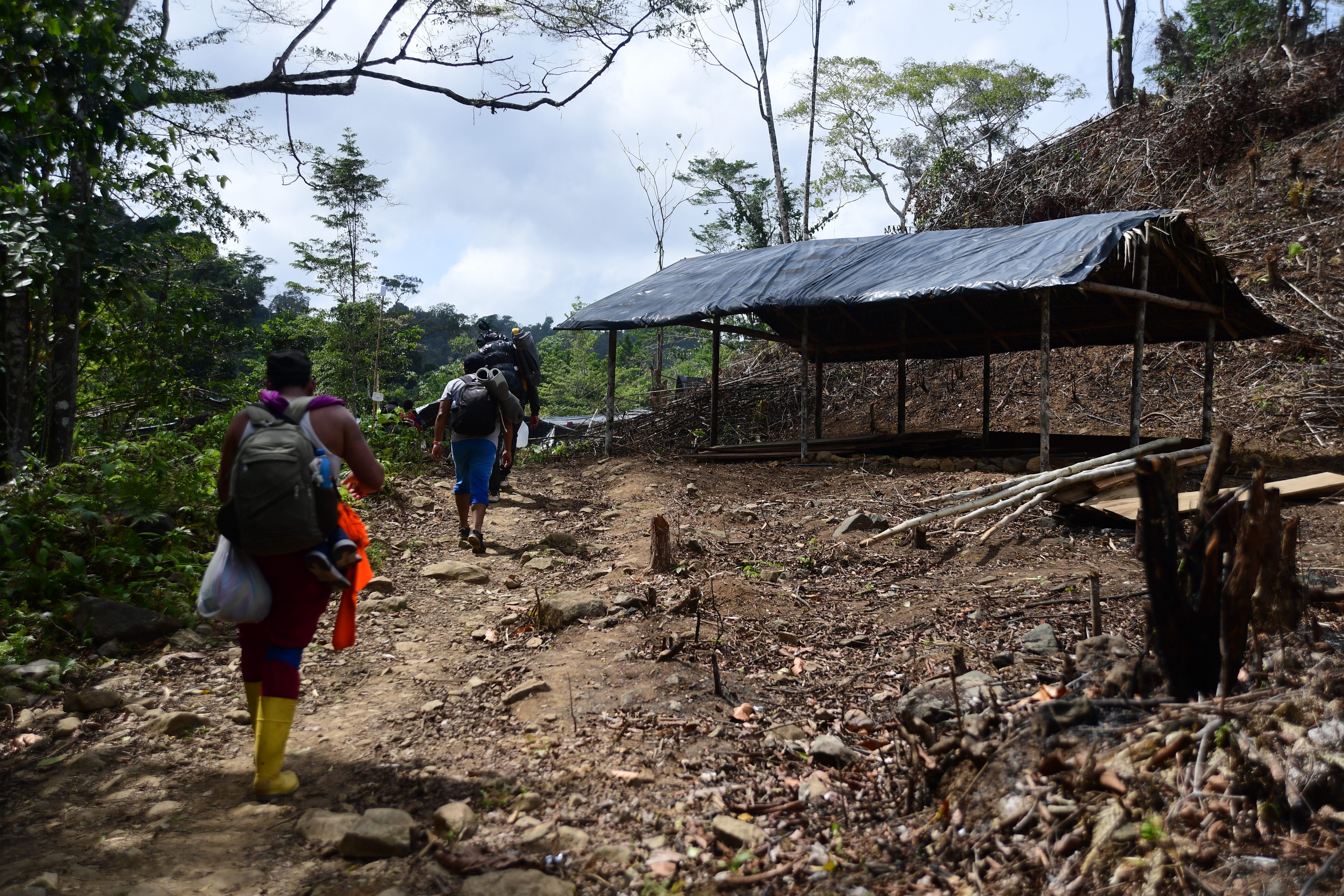 Lanzan alerta por aumento de violencia sexual contra migrantes en el Darién