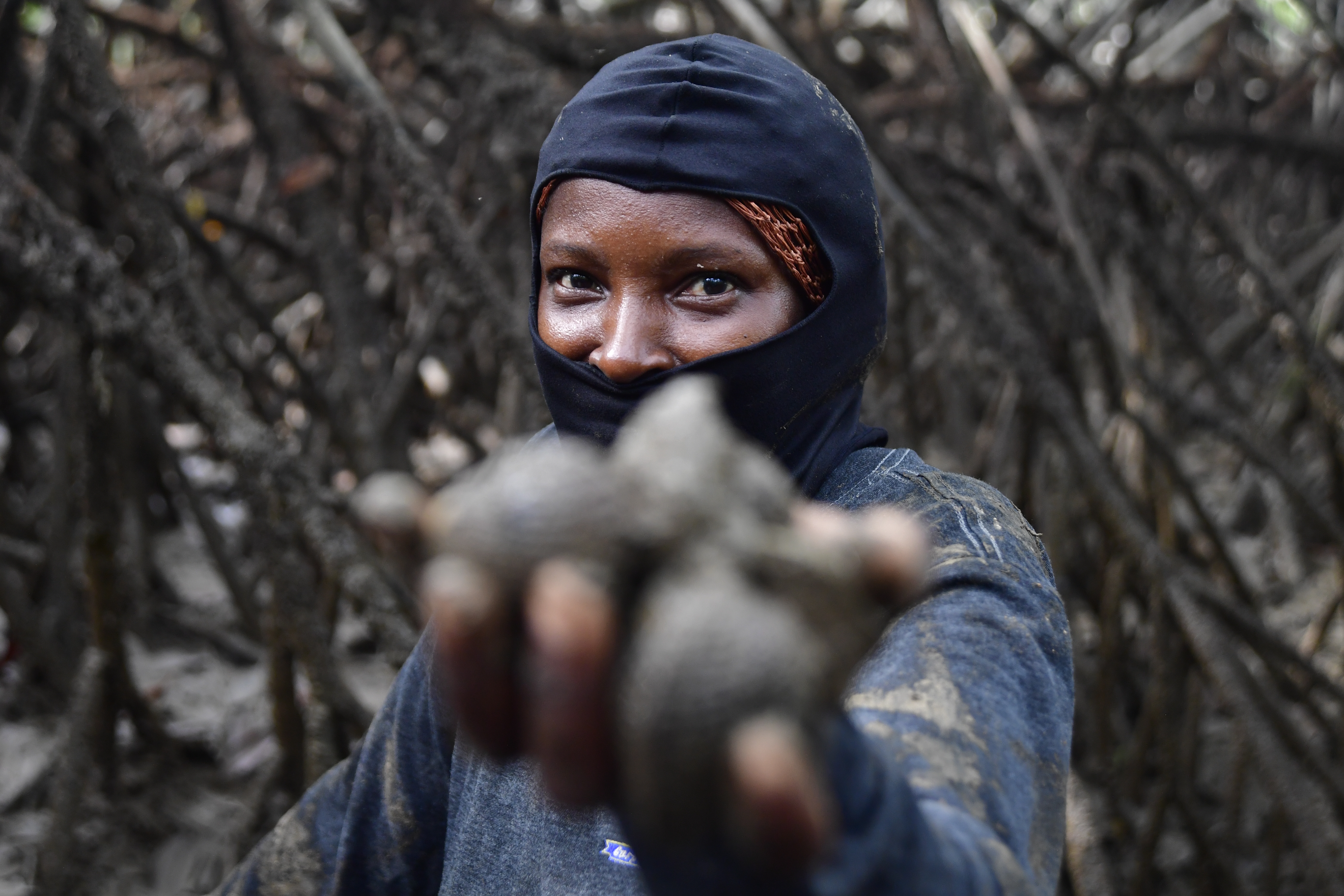 Primeros datos revelan rol crucial de pueblos afro en el cuidado de la biodiversidad
