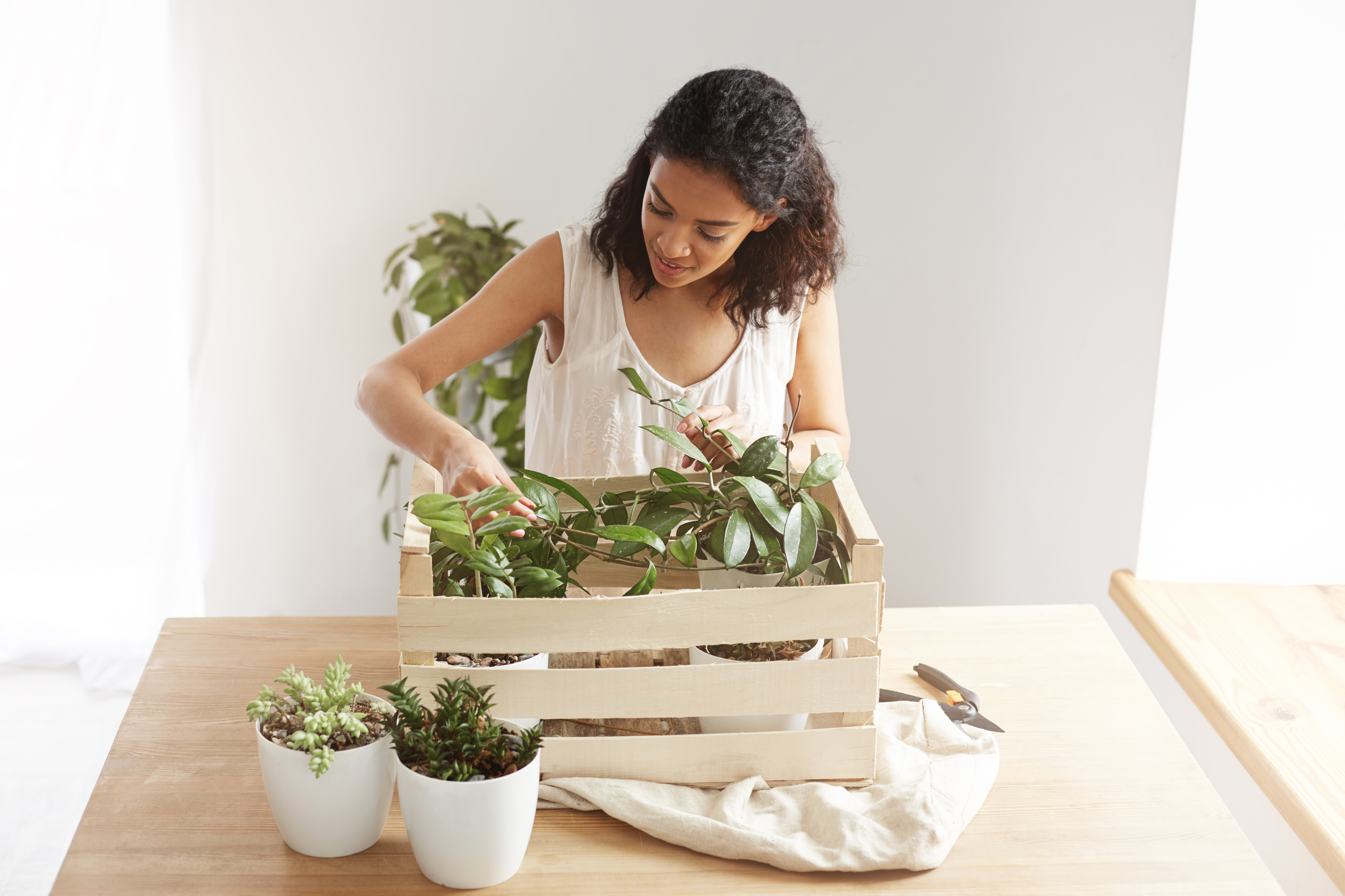 Cada planta es un individuo con necesidades únicas, por lo que la clave está en la observación constante y la capacidad de hacer ajustes sutiles para garantizar su bienestar