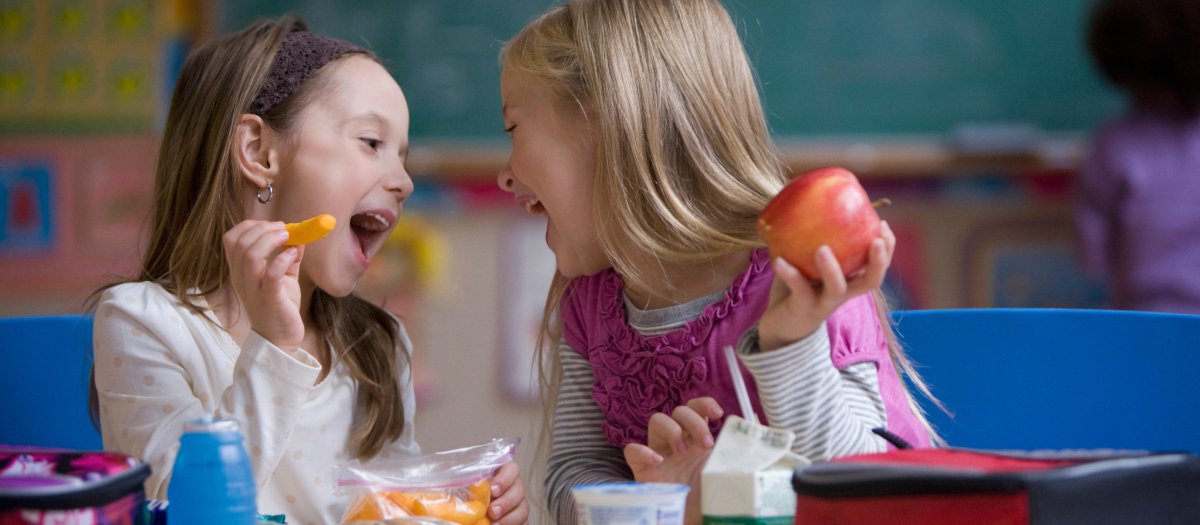 Así puedes armar una lonchera llena de energía y nutrientes para tus hijos