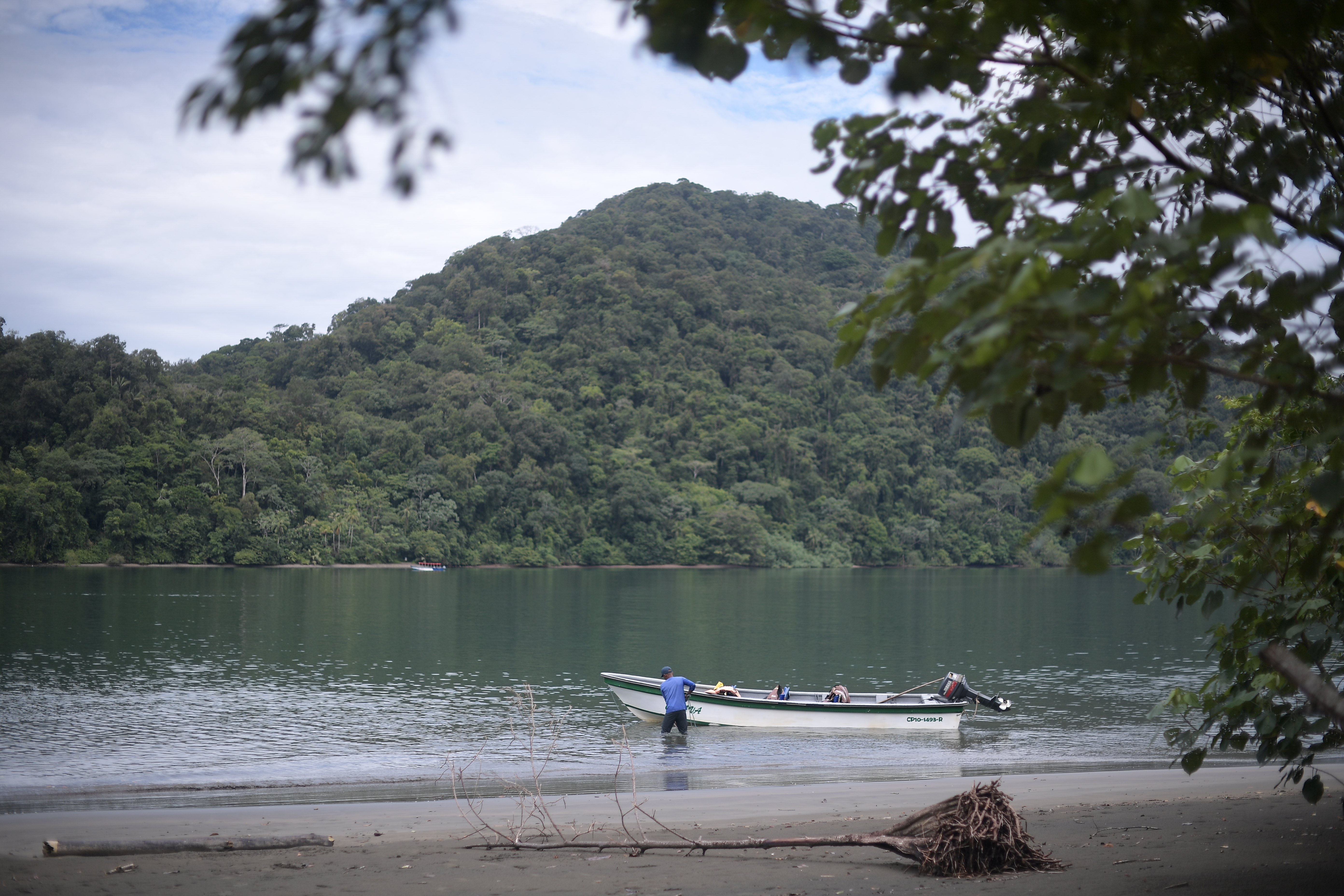 Abren convocatoria de becas para tesis sobre biodiversidad de Colombia