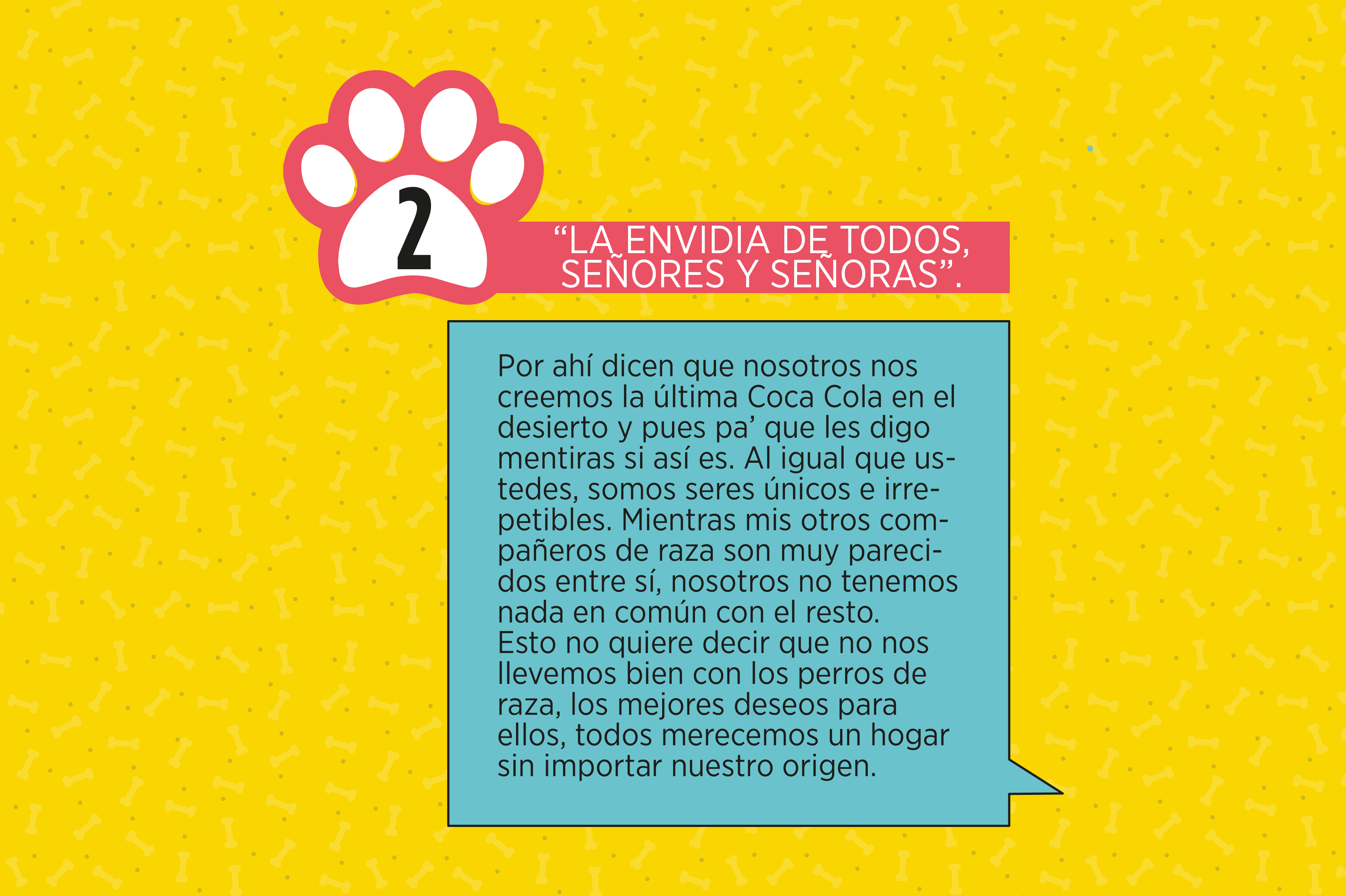 ¡Cinco razones para adoptar un perro criollo!