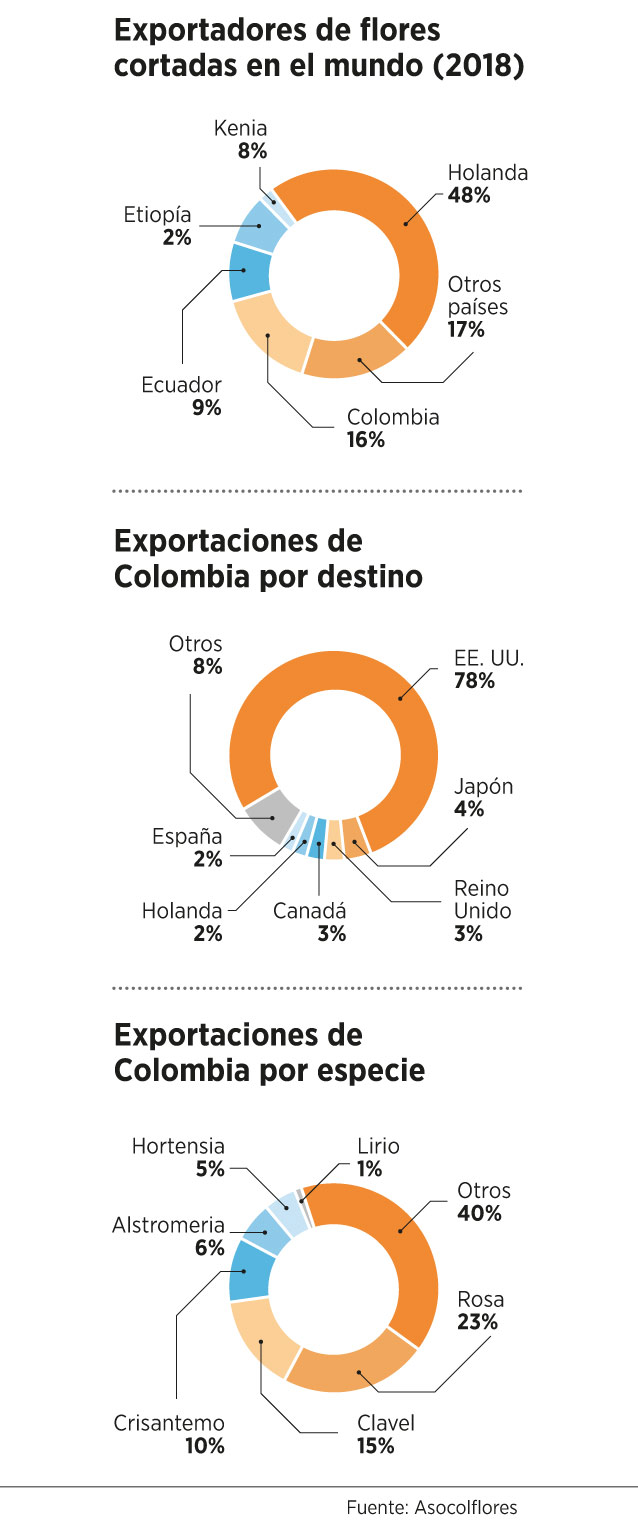 Hoy las flores colombianas llegan a 100 países, por lo que el reto no está tanto en abrir más mercados, sino en consolidarse en los que hay presencia. Esto es: mantener el liderato en Estados Unidos, en donde Colombia es el principal proveedor, enviando casi el 80 % de sus ventas externas de flores. China, por otro lado, “es un mercado al que ya se llega, pero hay que consolidarse. Ecuador es muy fuerte allí, pero vemos que es un mercado con potencial en el que queremos estar”, asegura Eliana Alzate.