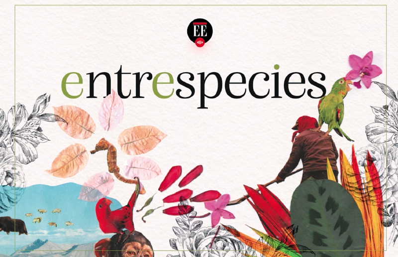 “Entrespecies”, un pódcast sobre el vínculo afectivo con la naturaleza