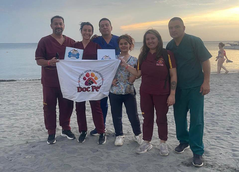 Estos veterinarios están esterilizando animales en todo Colombia: así puede ayudar