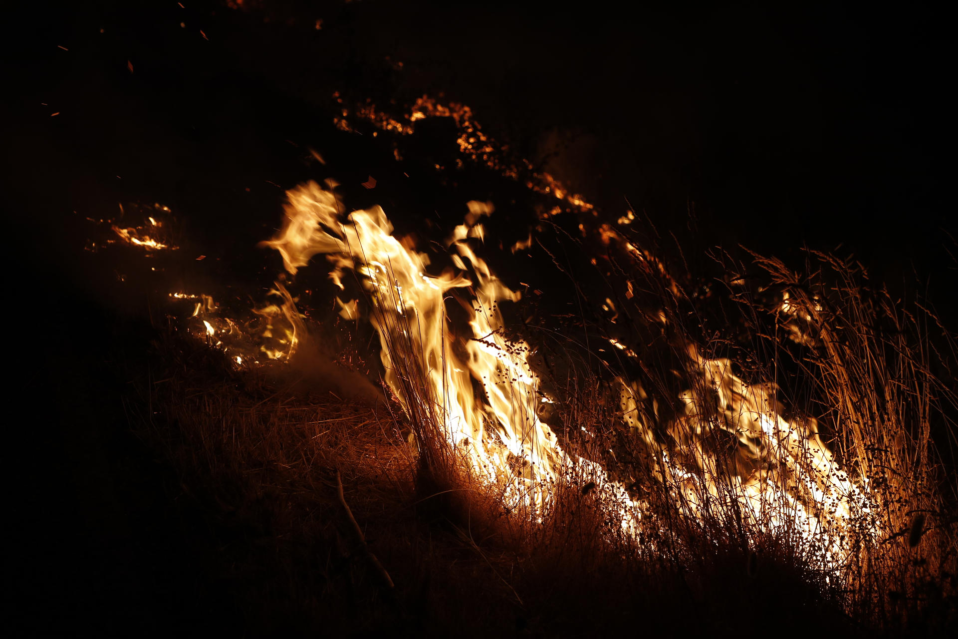 SANTIAGO DE COMPOSTELA, 26/08/2025.- Llamas en el incendio de Augasmestas, entre Pobra do Brollón y Quiroga Galicia tiene este martes tres incendios forestales activos, entre ellos el que se declaró el lunes en A Pobra do Brollón (Lugo), que obligó a activar la situación 2 por su cercanía con núcleos de población y que alcanza las 600 hectáreas. El último balance de Medio Rural recoge que el foco, que ha avanzado 500 hectáreas durante la noche, está próximo a los núcleos de Golmar, en A Pobra do Brollón, y a los de Conceado y San Pedro, en el municipio vecino de Quiroga. EFE/ Eliseo Trigo
