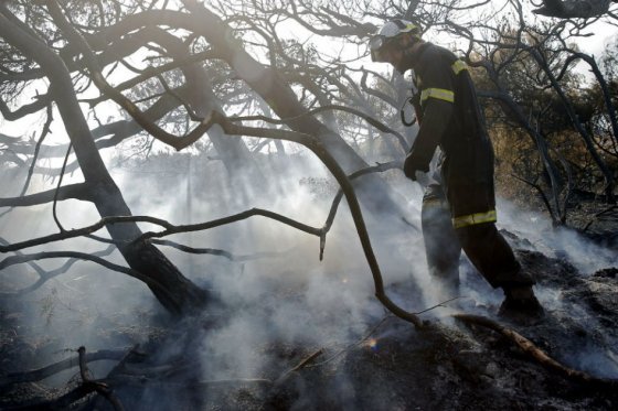 Alerta en nueve municipios de Caldas por riesgo de incendios forestales