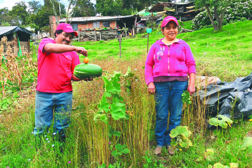 Cómo impulsar agricultura sostenible desde la banca