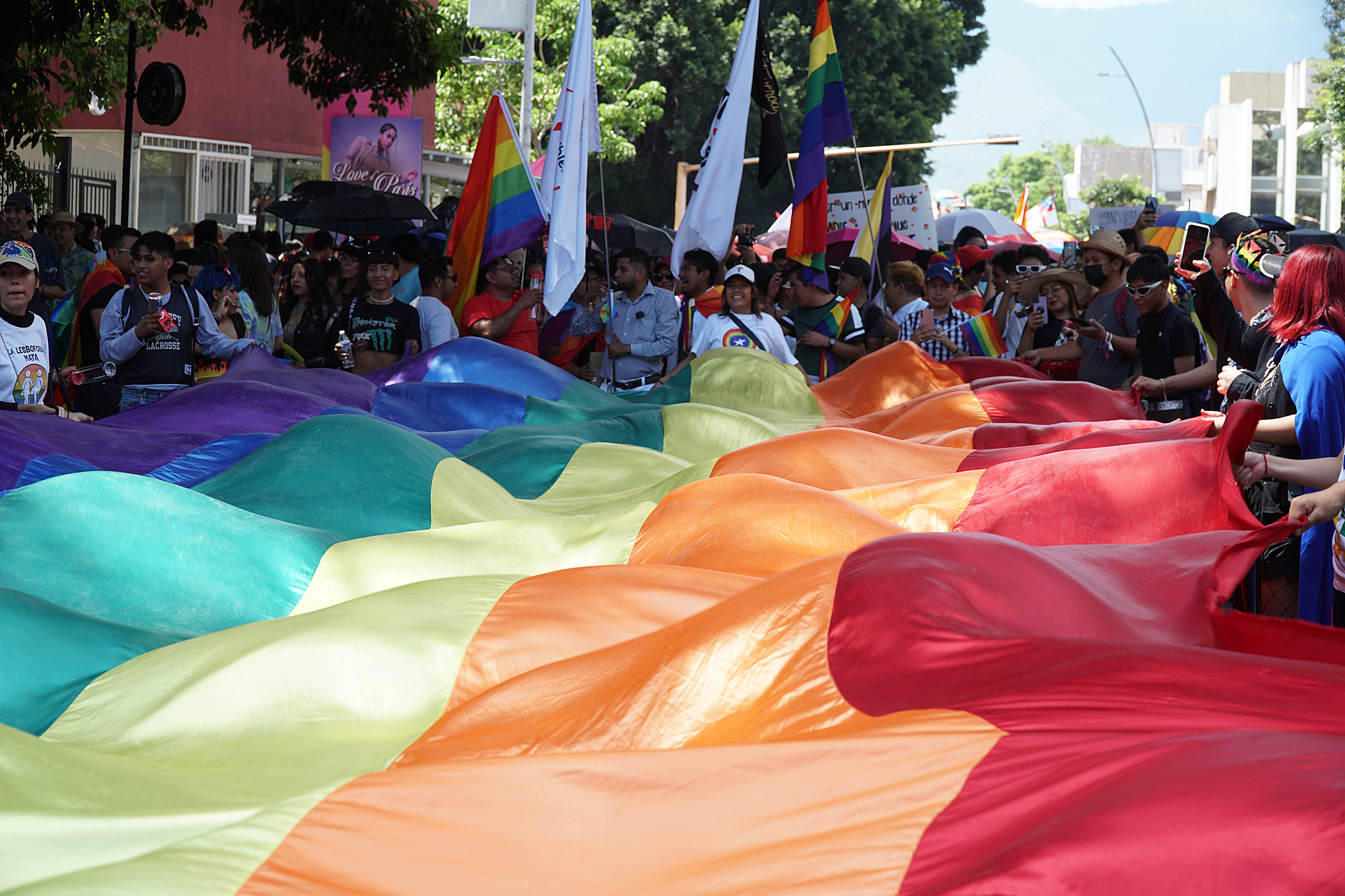 Más de 20 personas LGBTIQ+ resultaron electas en estas elecciones territoriales