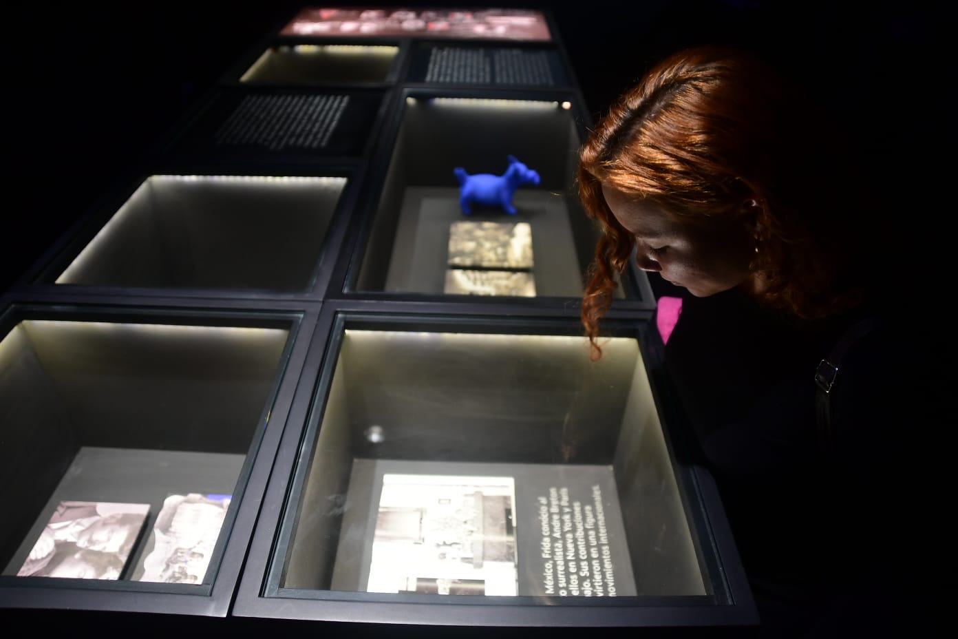 Una joven observa una de las fotografías exhibidas en “Vida y obra de Frida Kahlo”, que contiene una leyenda sobre el primer encuentro de la artista con el surrealista André Breton.