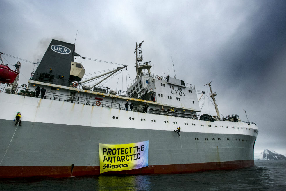Activistas de Greenpeace se enfrentaron con un buque ucraniano en la Antártida