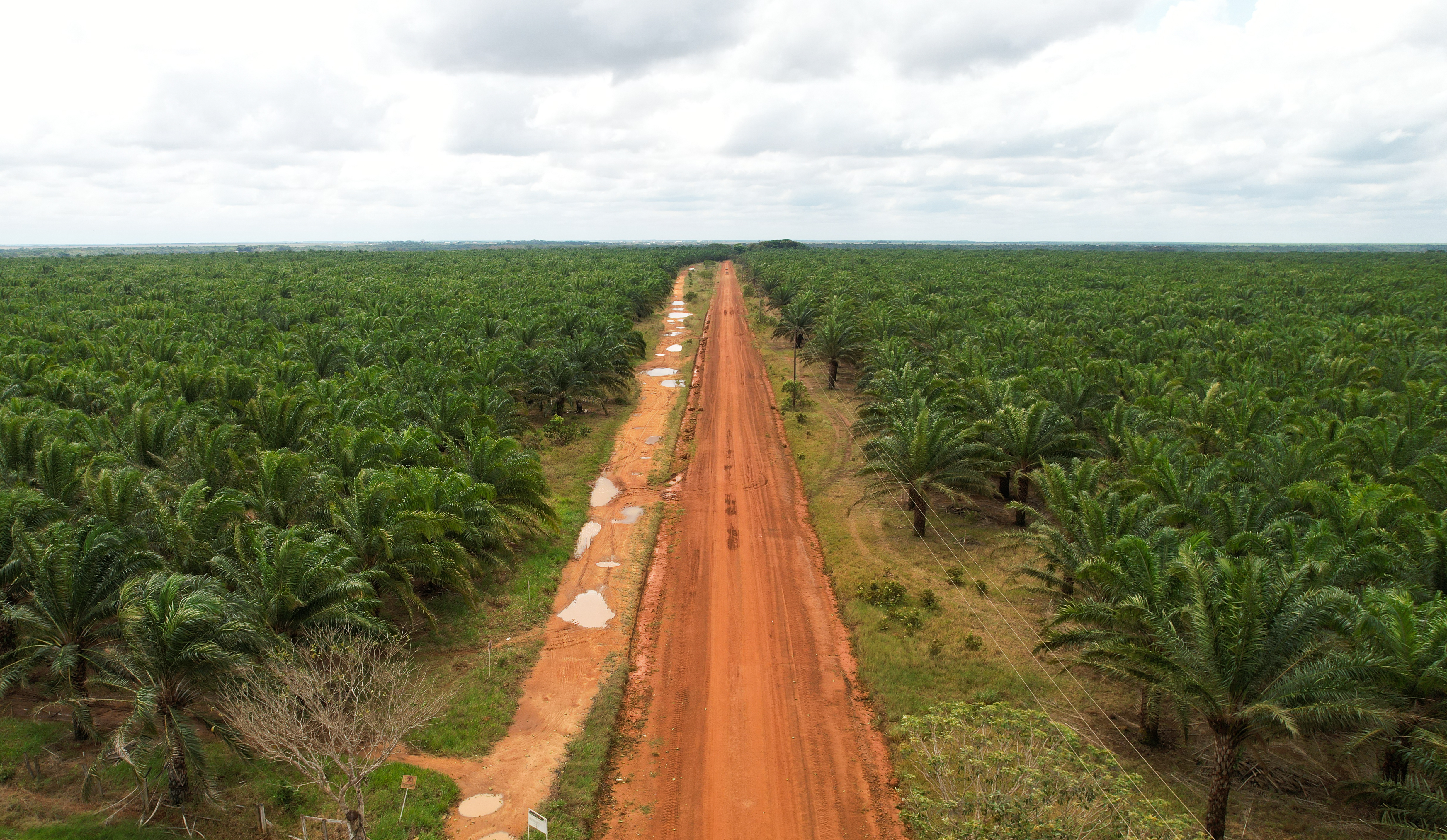 Unas 30 empresas extranjeras son dueñas de más  de un millón de hectáreas cultivables