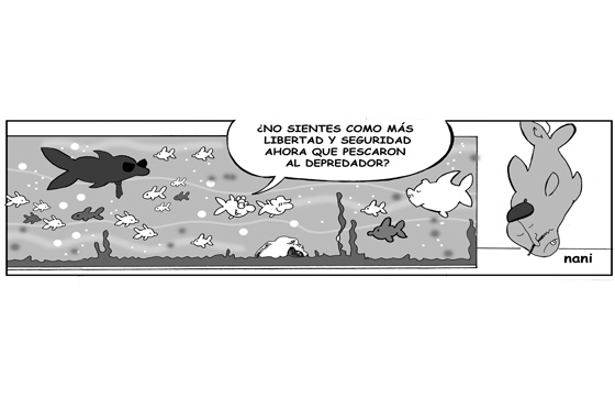 Libertad y Seguridad