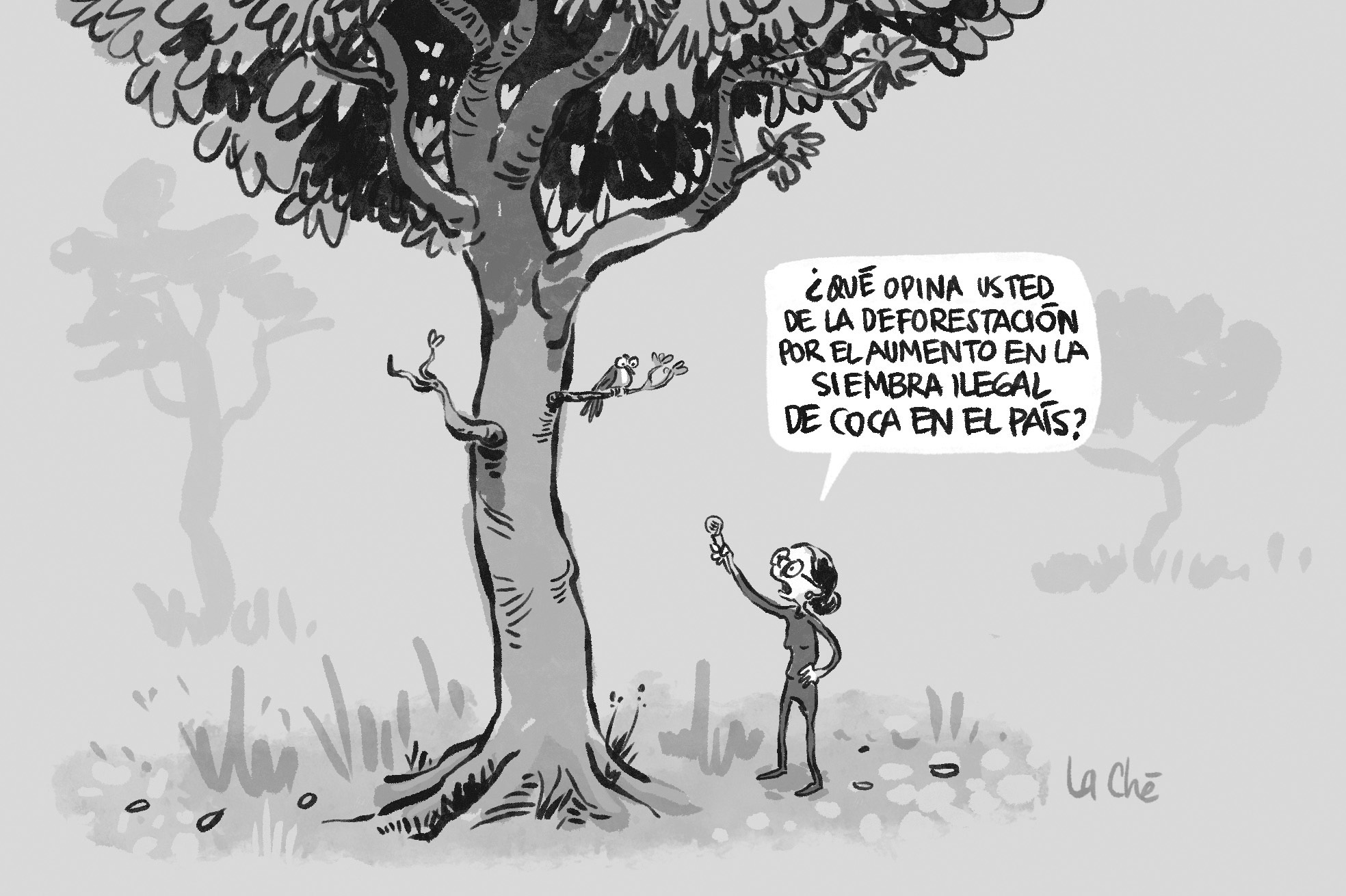 La Ché