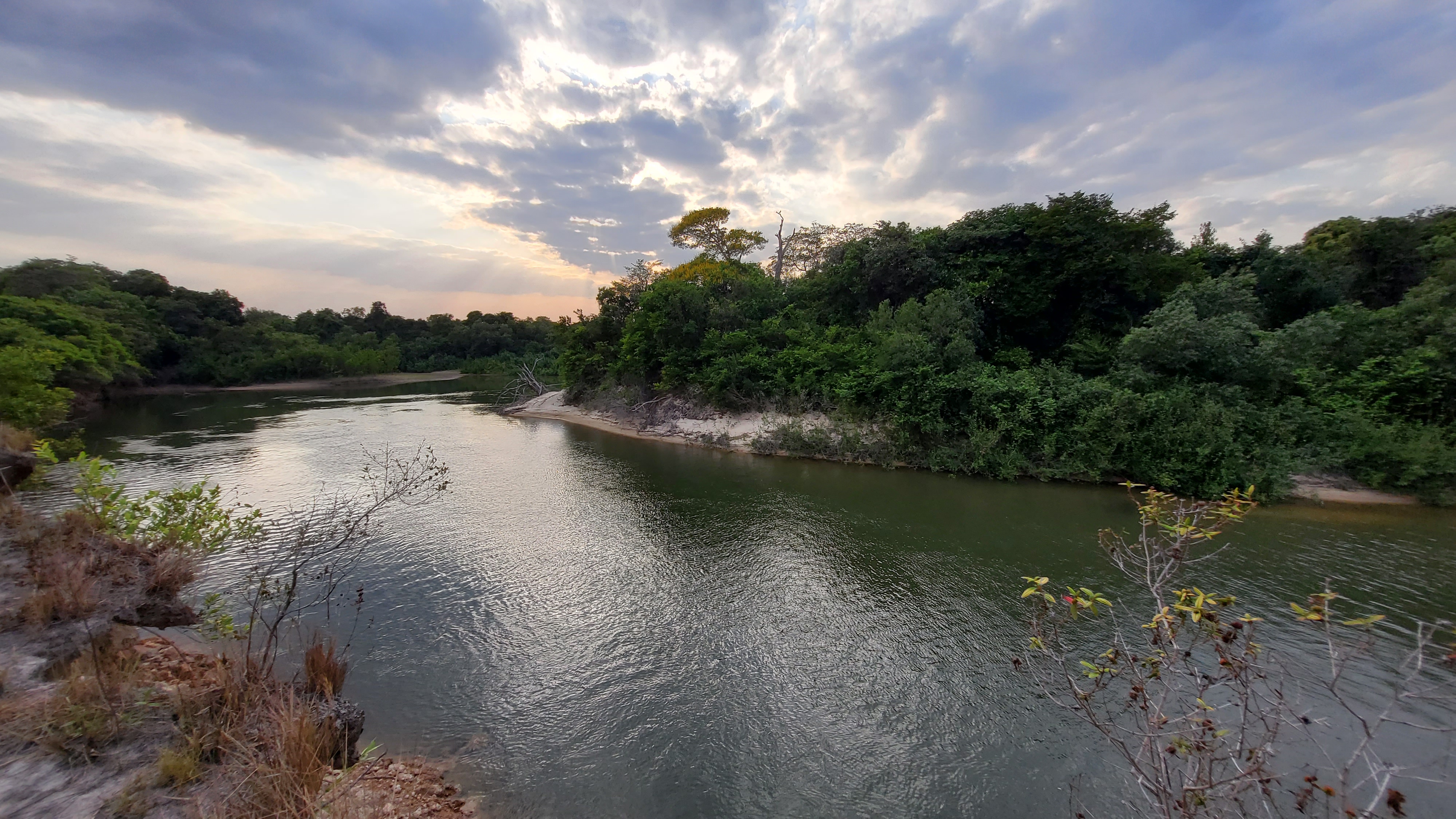 Nuevo núcleo de Reservas Naturales de la Sociedad Civil en la Orinoquía
