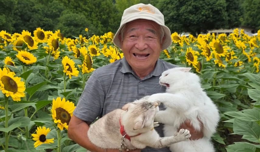 Abuelo japonés se hace viral por sesión de fotos con sus gatos que terminó en caos