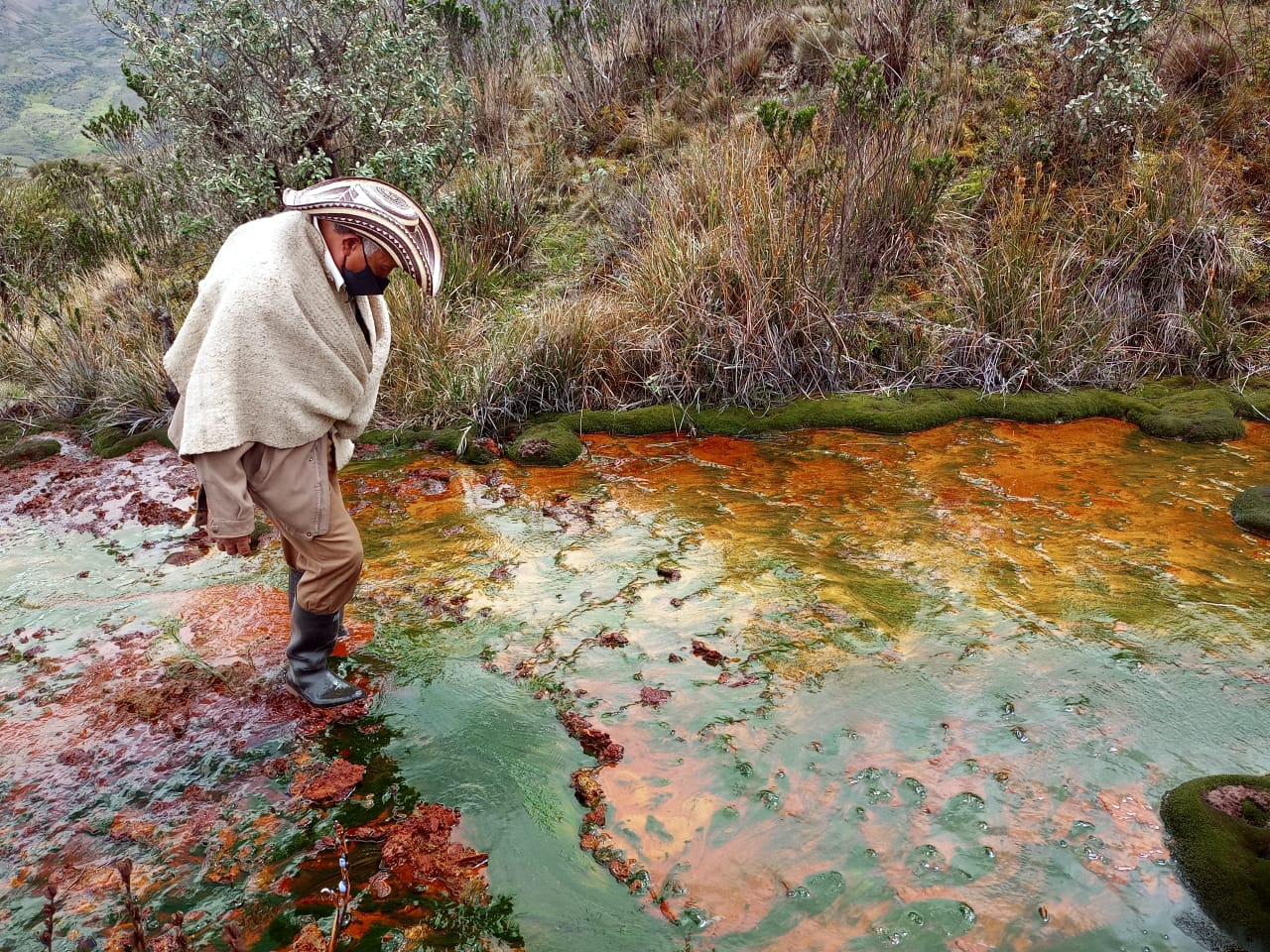Fotos: la falta de delimitación y la minería que amenaza al páramo de Pisba