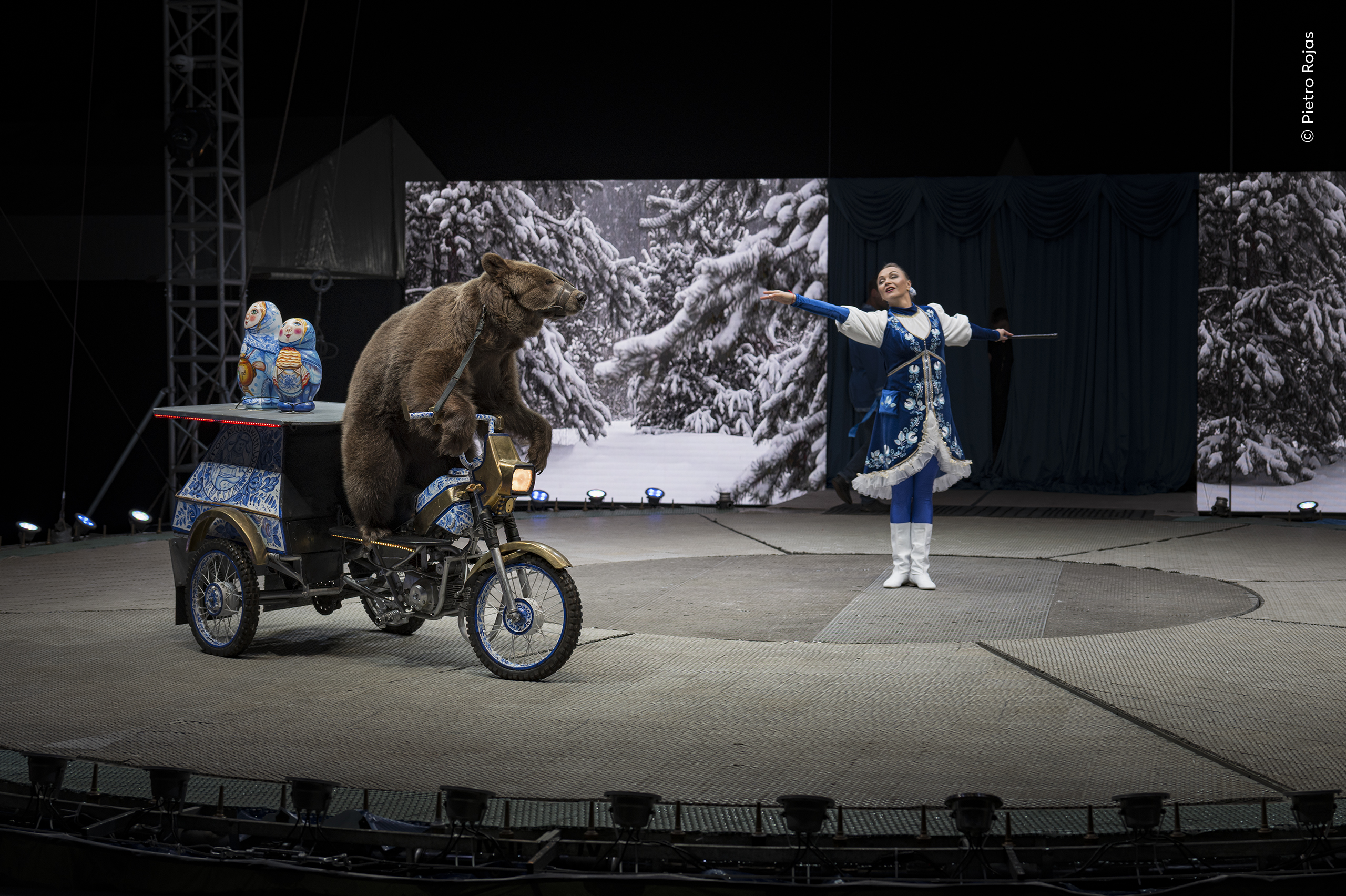 Mención especial, Fotoperiodismo:

Pietro Rojas (Guatemala) documenta a un oso pardo montado en una pequeña motocicleta, con bozal y sujeto al vehículo, mientras da vueltas alrededor de la pista de un circo en Doha, Catar.