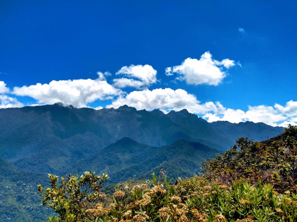 Autoridades denuncian contaminación del agua por minería ilegal en los Farallones