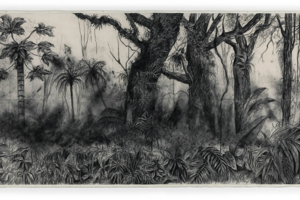 «Tierra de/por medio», la nueva exposición del Museo de Arte Miguel Urrutia