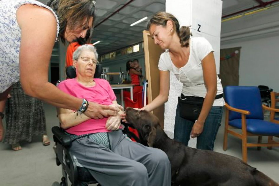 En 10 años 200.000 puertorriqueños tendrán Alzheimer