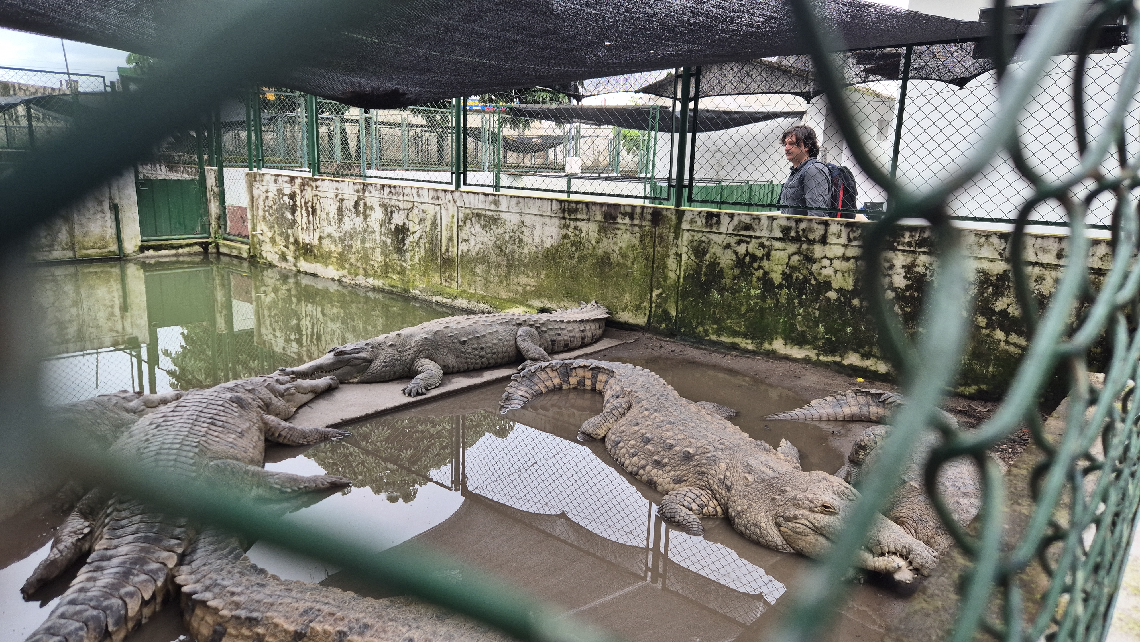Uno de los estanques en el que se encuentran cocodrilos del Orinoco en la Estación Roberto Franco.