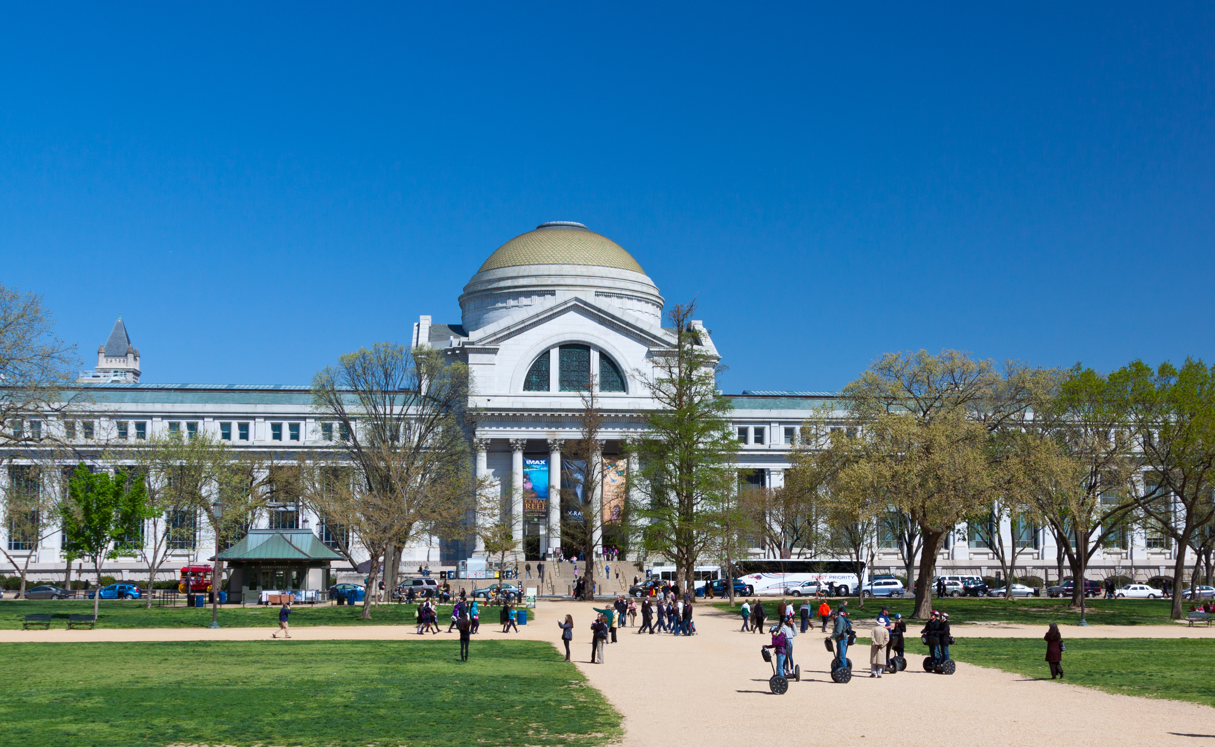 El Museo Smithsoniano guarda cerebros de afroamericanos recolectados por racistas