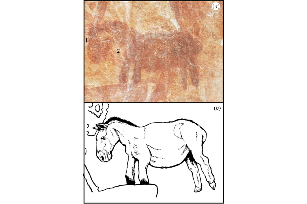 El caballo es una de las figuras esenciales en la discusión. Urbina lo atribuye a la época colonial, mientras que Iriarte a la Edad de Hielo.
