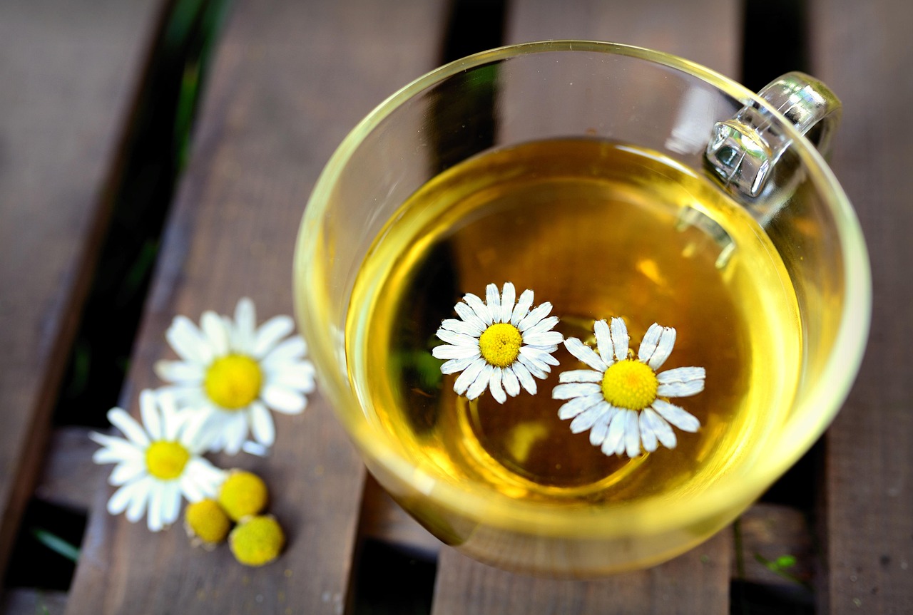Cuatro plantas ideales para preparar té natural en casa