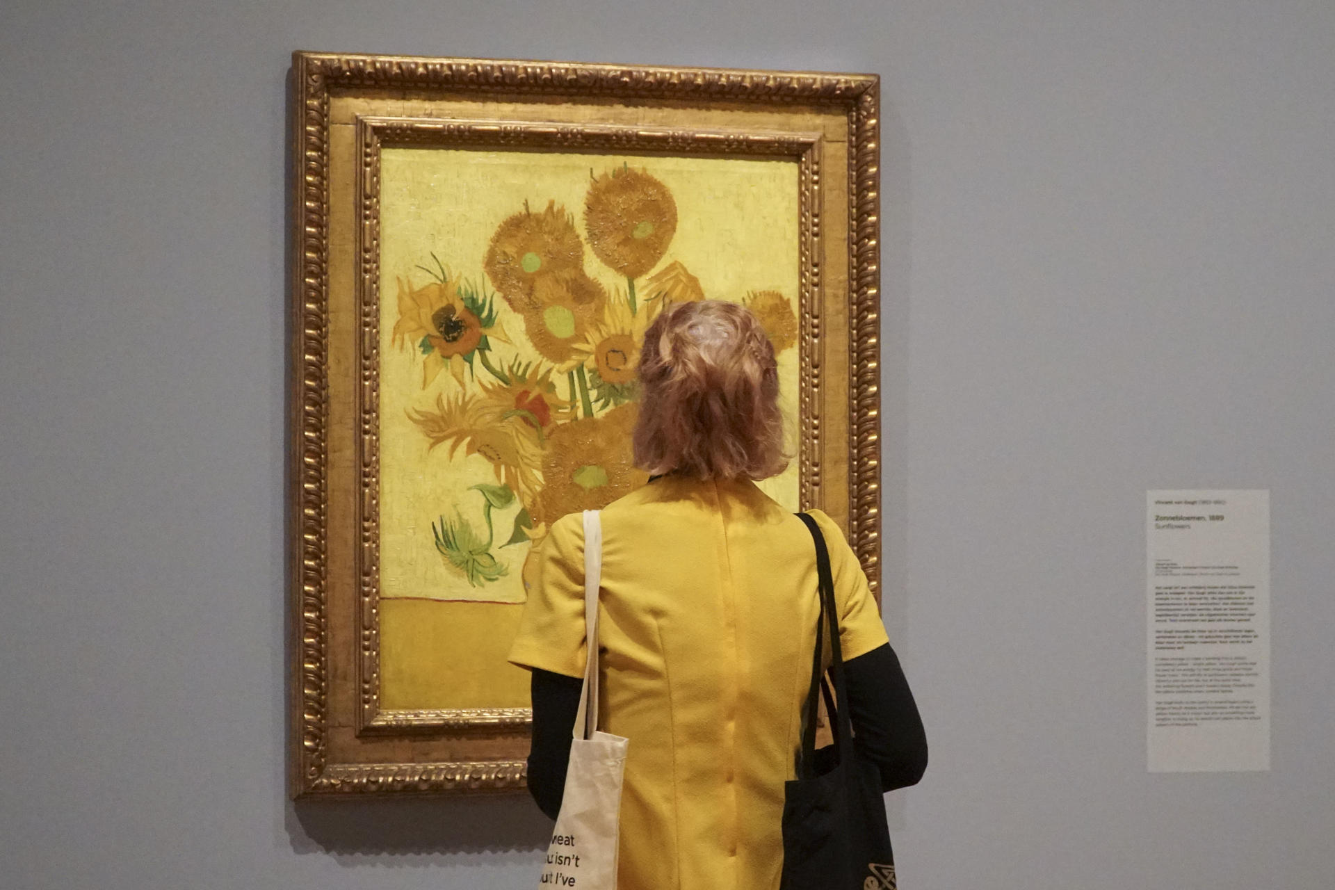 El amarillo que obsesionó y elevó a Van Gogh, más allá de sus icónicos Girasoles