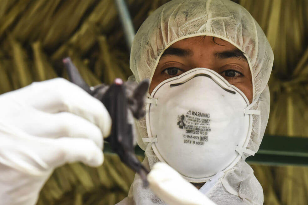 Casos de coronavirus llegan a México y Nigeria