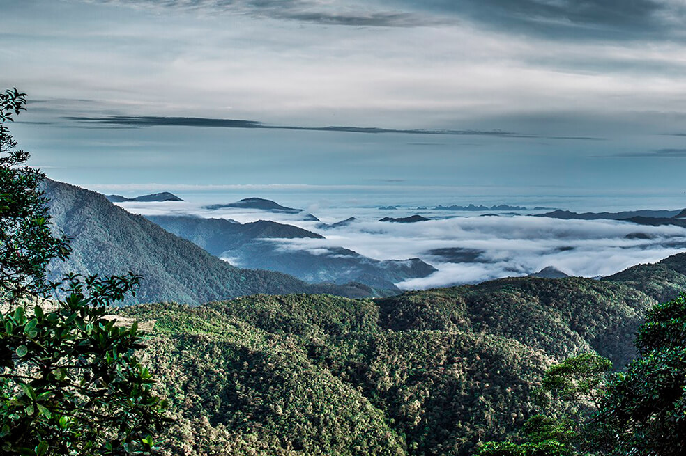 Especial de Colombia en NatGeo por la Independencia