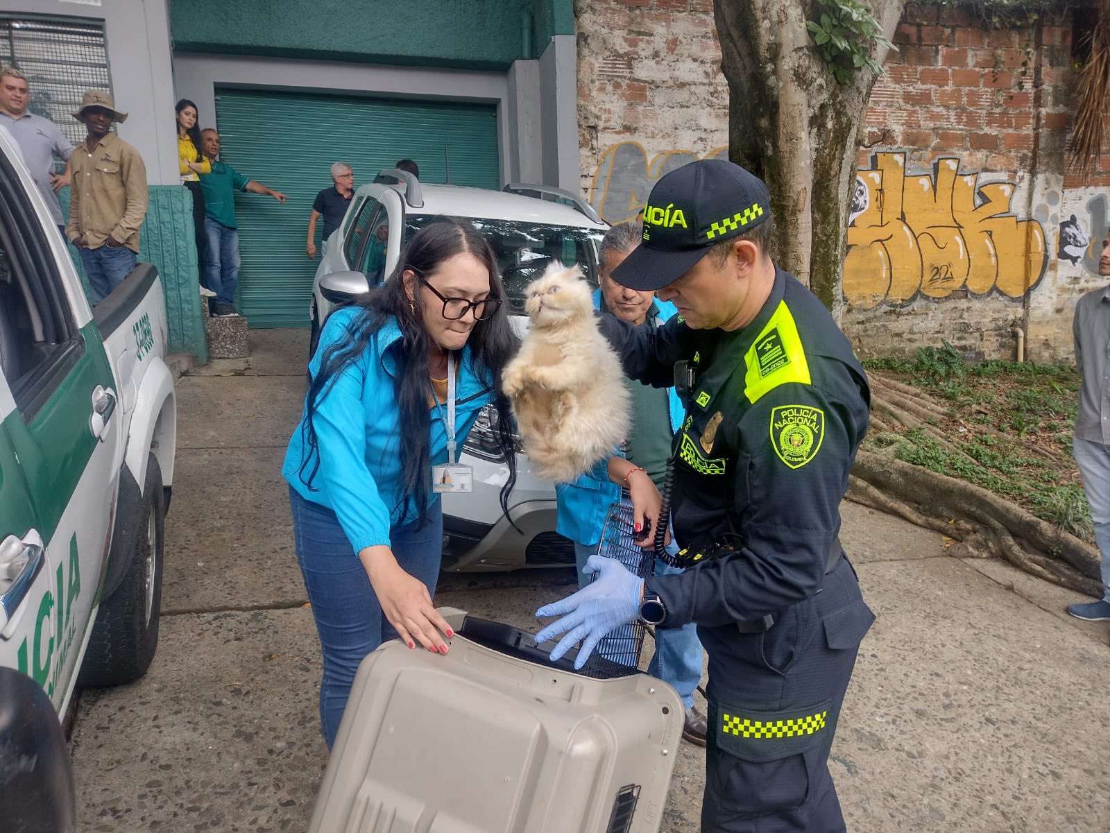 Policía rescata 17 perros y gatos que, al parecer, eran maltratados en una casa en Medellín