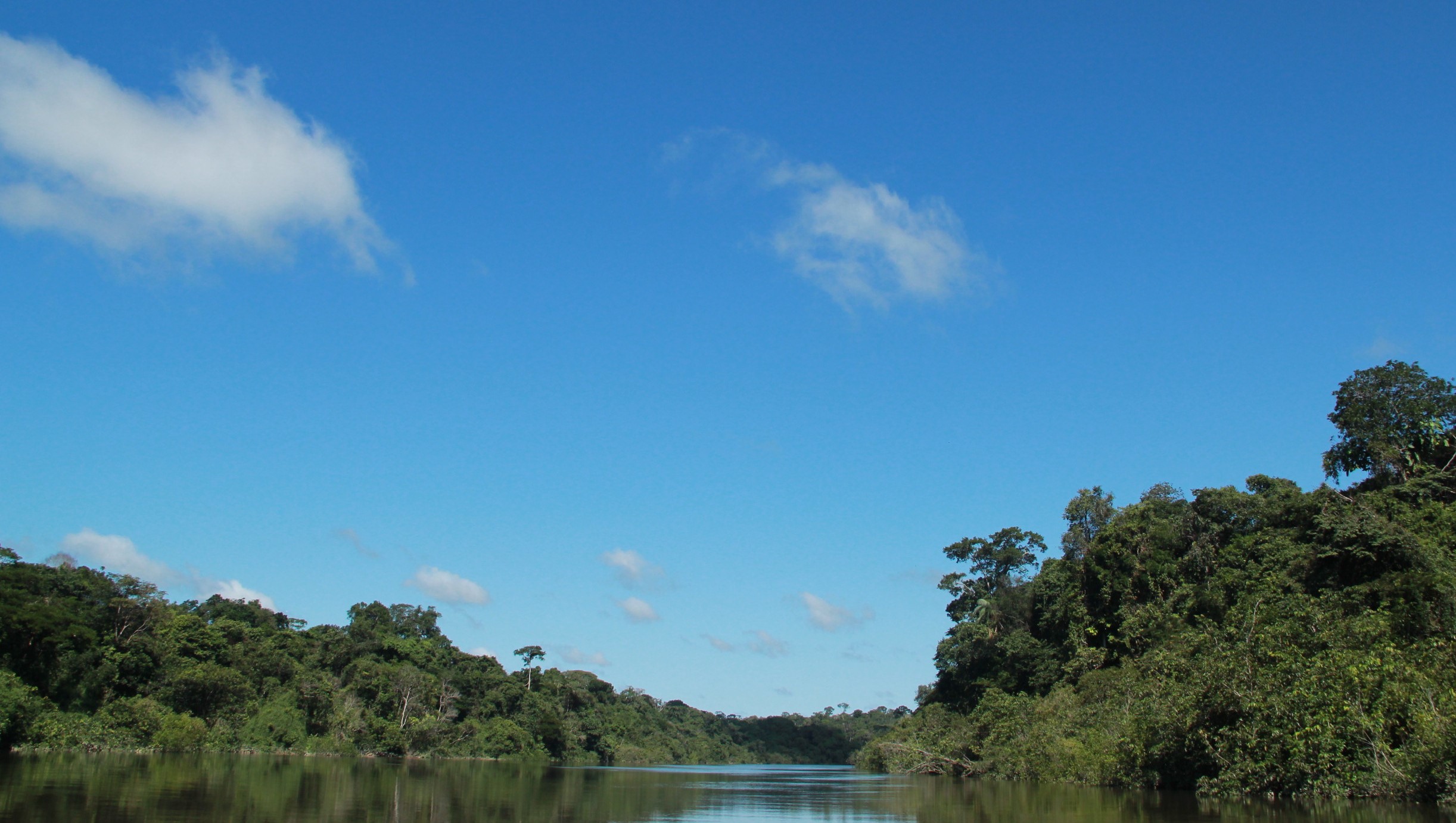 El premio ambiental BIBO eligió a los 43 semifinalistas de la edición 2026