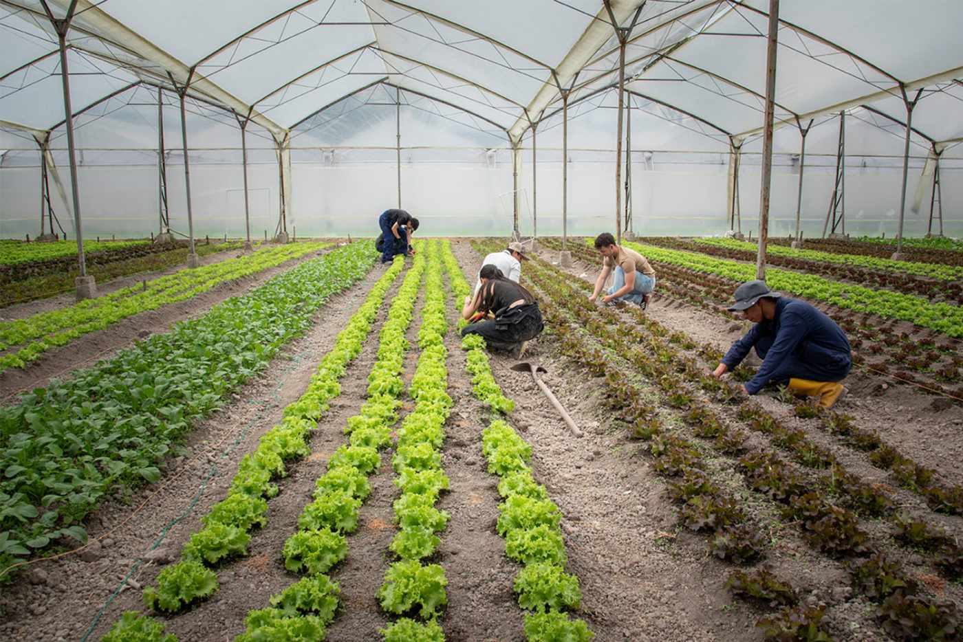 “Las huertas mejoran la seguridad alimentaria y promueven el bienestar integral”