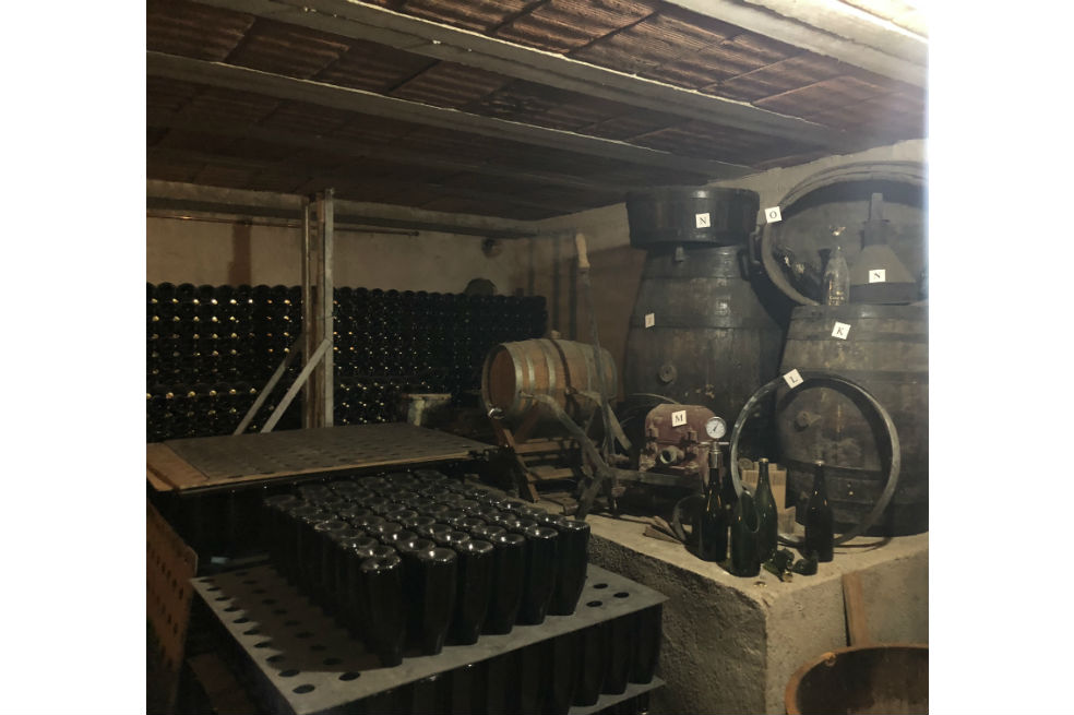 Poesía y cava:  una ruta por tres bodegas del Penedès
