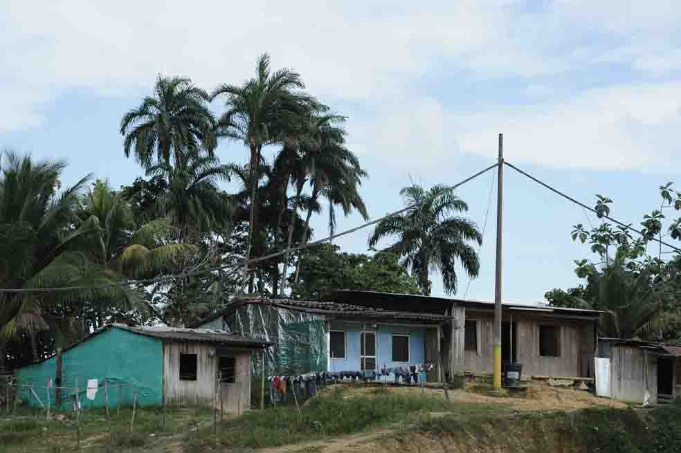 Buenaventura, descuartizada
