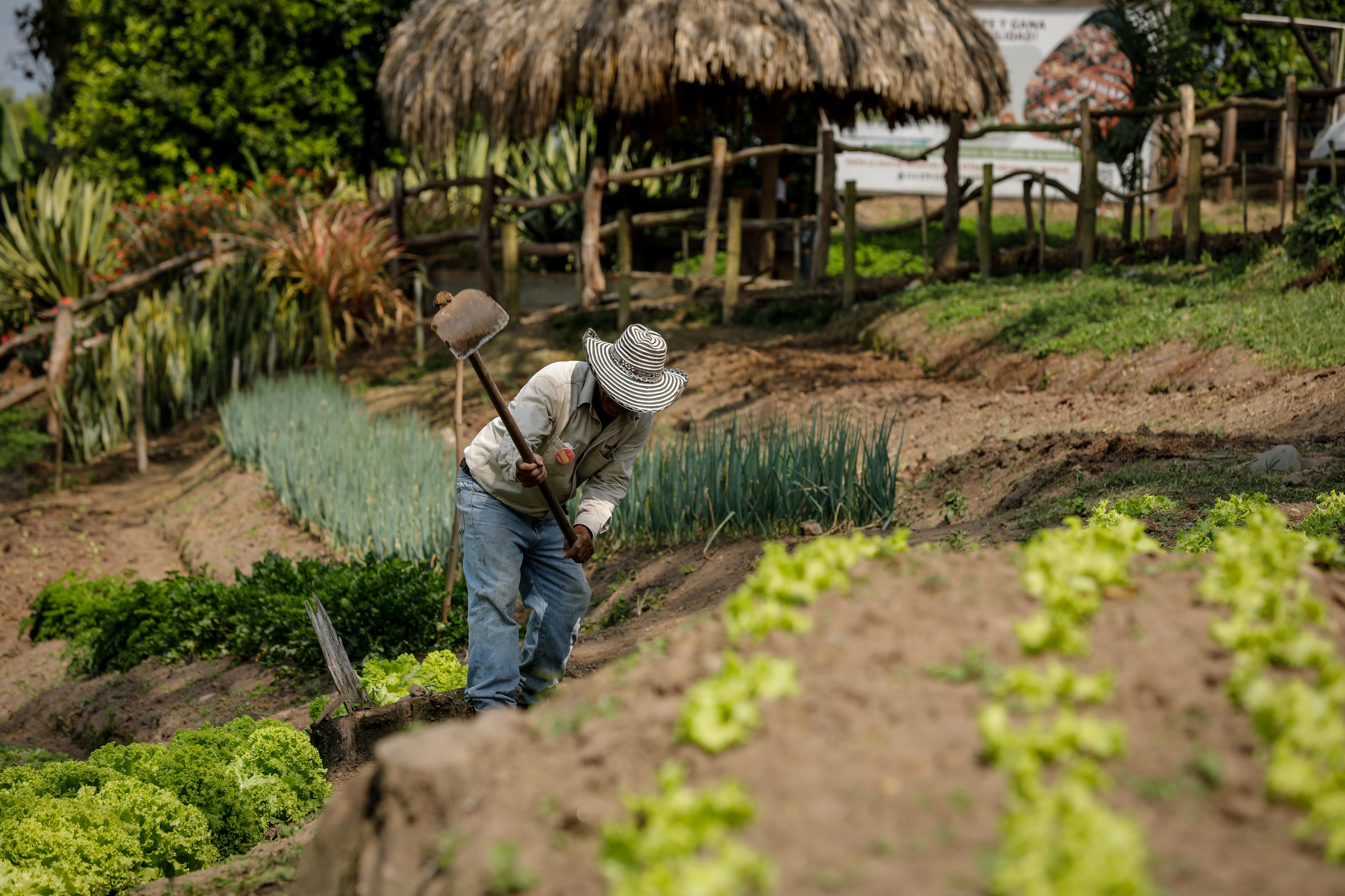 Buenas nuevas: el SENA tiene $5.300 millones para emprendedores en Boyacá