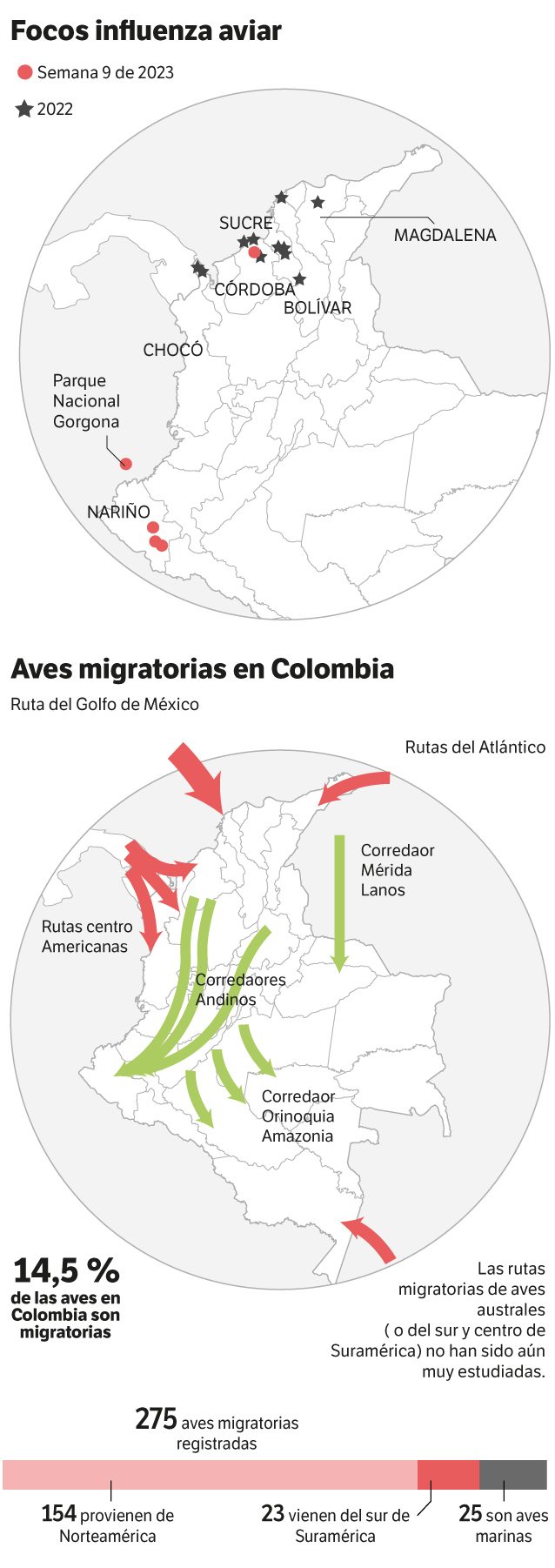 Los focos de gripe aviar en Colombia y los flujos migratorios de las aves en el país.